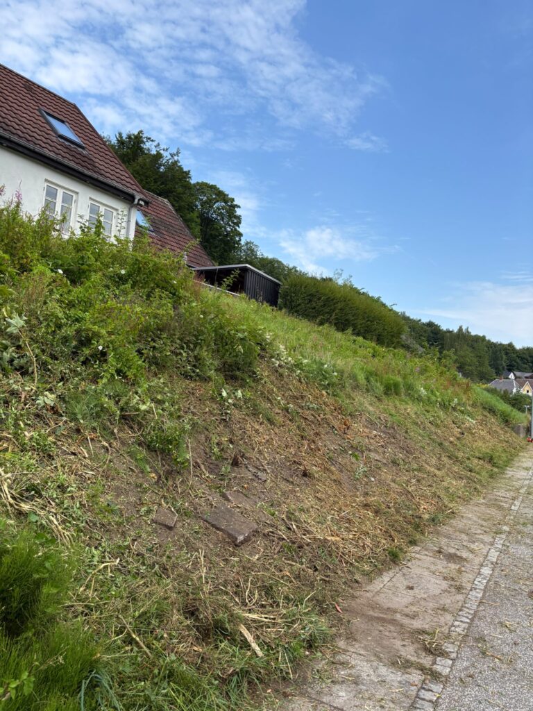 Ryddet skråning langs en villavej